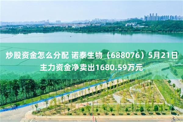 炒股资金怎么分配 诺泰生物（688076）5月21日主力资金净卖出1680.59万元