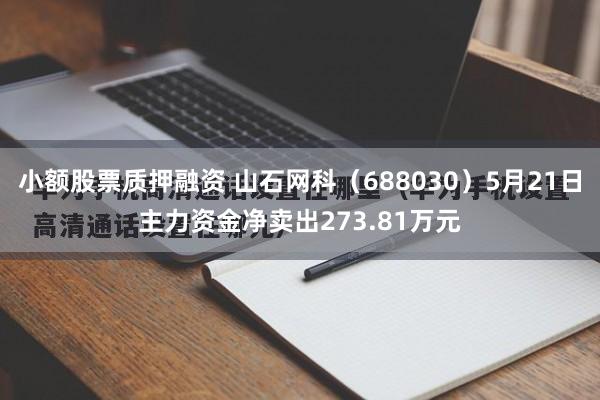 小额股票质押融资 山石网科（688030）5月21日主力资金净卖出273.81万元