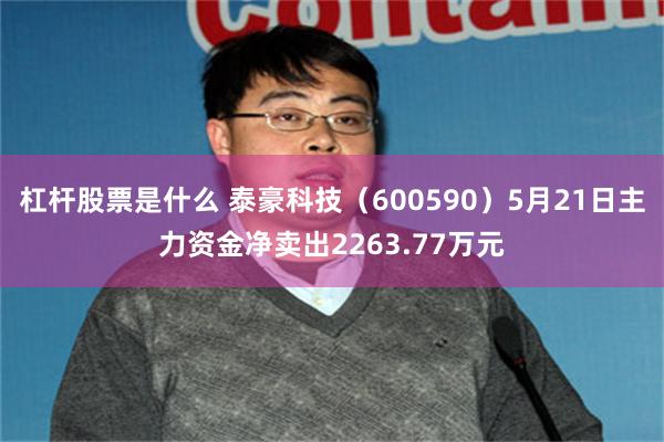 杠杆股票是什么 泰豪科技（600590）5月21日主力资金净卖出2263.77万元