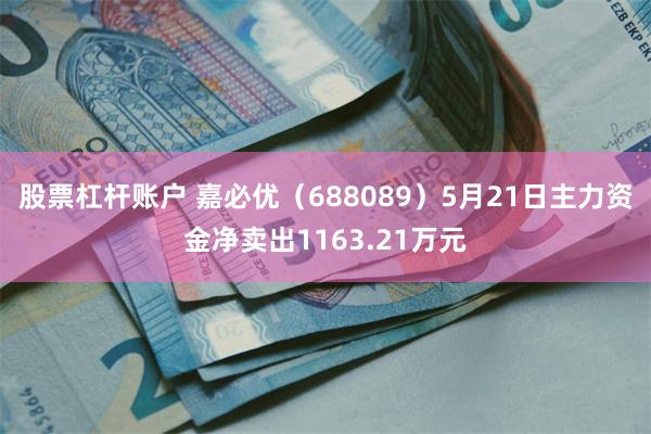 股票杠杆账户 嘉必优（688089）5月21日主力资金净卖出1163.21万元