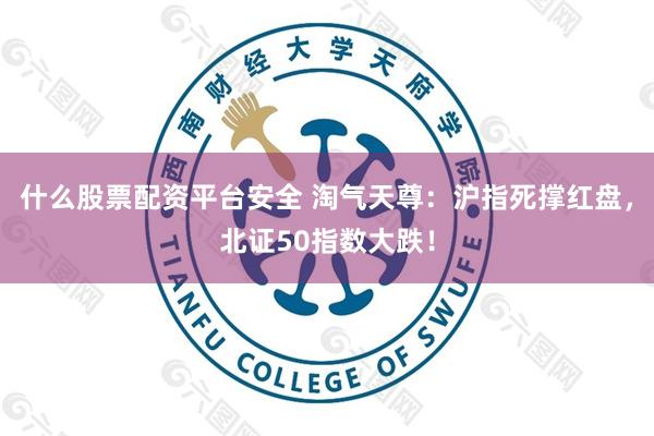 什么股票配资平台安全 淘气天尊：沪指死撑红盘，北证50指数大跌！