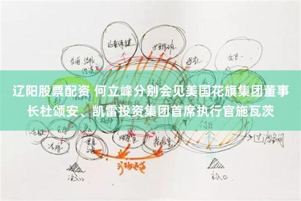 辽阳股票配资 何立峰分别会见美国花旗集团董事长杜颂安、凯雷投资集团首席执行官施瓦茨