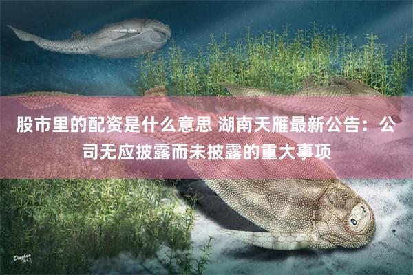 股市里的配资是什么意思 湖南天雁最新公告：公司无应披露而未披露的重大事项