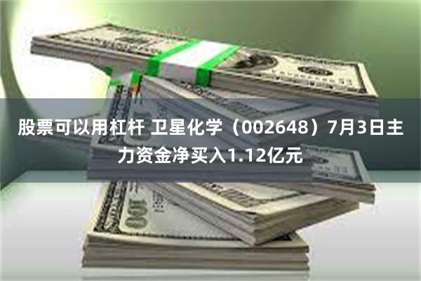 股票可以用杠杆 卫星化学（002648）7月3日主力资金净买入1.12亿元