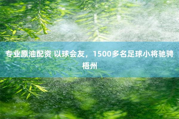 专业原油配资 以球会友，1500多名足球小将驰骋梧州