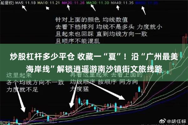 炒股杠杆多少平仓 收藏一“夏”！沿“广州最美海岸线”解锁逍遥游南沙镇街文旅线路
