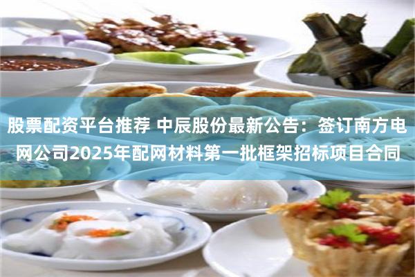 股票配资平台推荐 中辰股份最新公告：签订南方电网公司2025年配网材料第一批框架招标项目合同