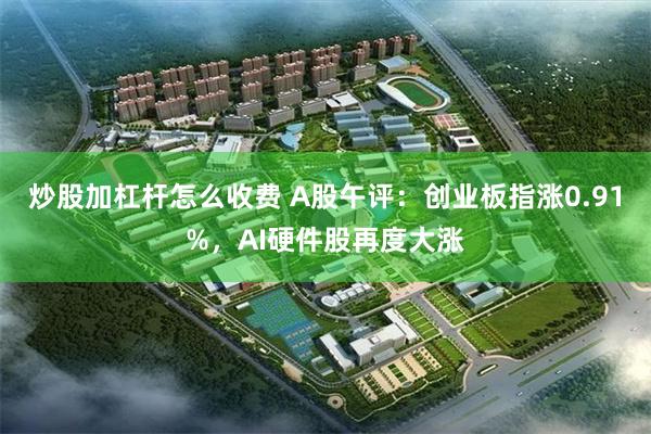 炒股加杠杆怎么收费 A股午评：创业板指涨0.91%，AI硬件股再度大涨