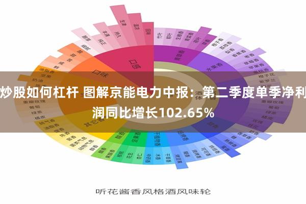 炒股如何杠杆 图解京能电力中报：第二季度单季净利润同比增长102.65%
