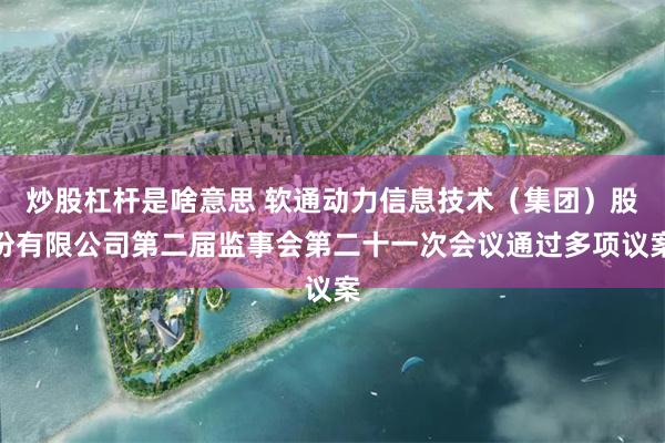 炒股杠杆是啥意思 软通动力信息技术（集团）股份有限公司第二届监事会第二十一次会议通过多项议案