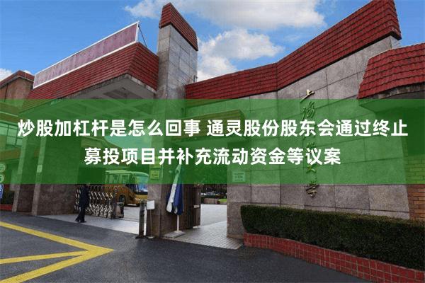 炒股加杠杆是怎么回事 通灵股份股东会通过终止募投项目并补充流动资金等议案