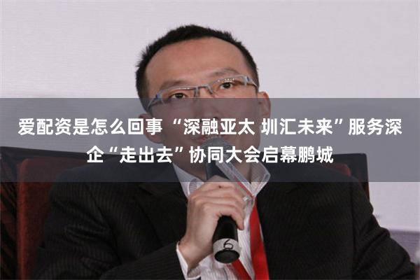 爱配资是怎么回事 “深融亚太 圳汇未来”服务深企“走出去”协同大会启幕鹏城