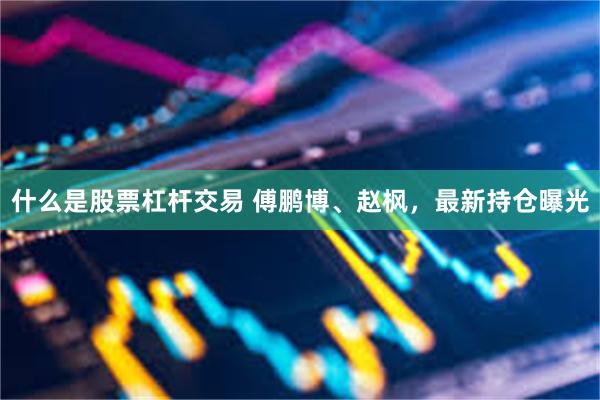 什么是股票杠杆交易 傅鹏博、赵枫,最新持仓曝光
