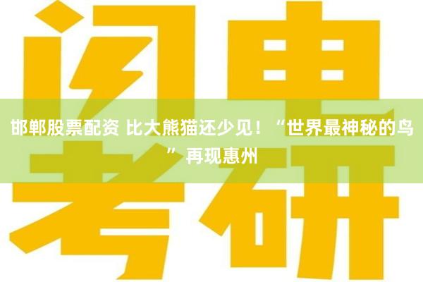 邯郸股票配资 比大熊猫还少见！“世界最神秘的鸟” 再现惠州