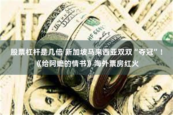 股票杠杆是几倍 新加坡马来西亚双双“夺冠”！《给阿嬷的情书》海外票房红火