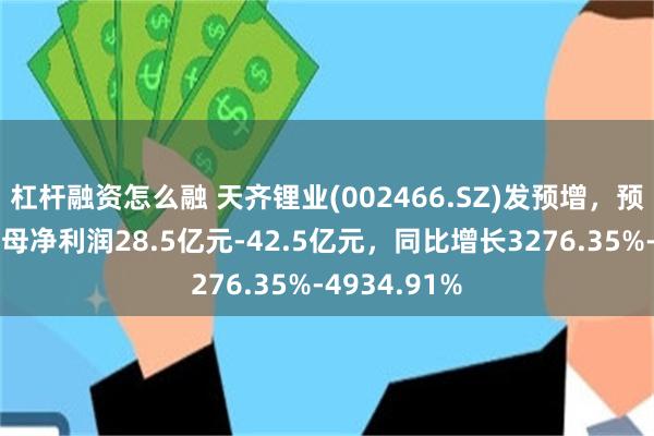杠杆融资怎么融 天齐锂业(002466.SZ)发预增，预计半年度归母净利润28.5亿元-42.5亿元，同比增长3276.35%-4934.91%
