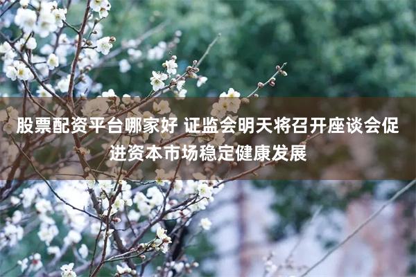 股票配资平台哪家好 证监会明天将召开座谈会促进资本市场稳定健康发展