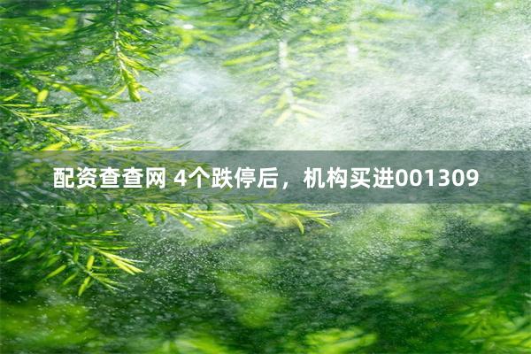 配资查查网 4个跌停后，机构买进001309