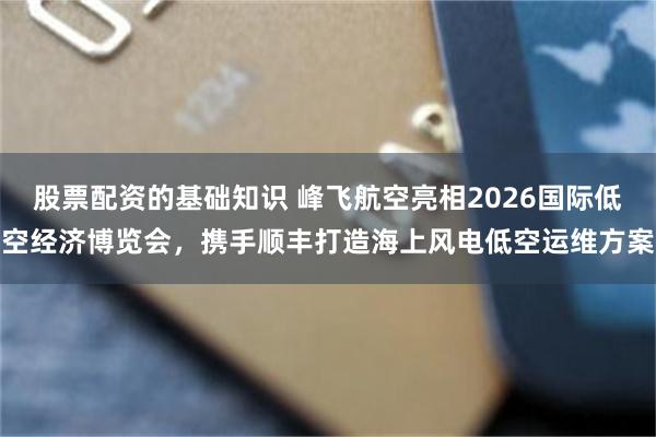 股票配资的基础知识 峰飞航空亮相2026国际低空经济博览会，携手顺丰打造海上风电低空运维方案