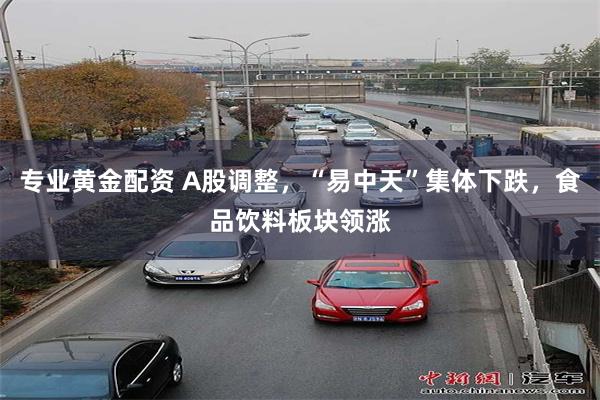 专业黄金配资 A股调整，“易中天”集体下跌，食品饮料板块领涨