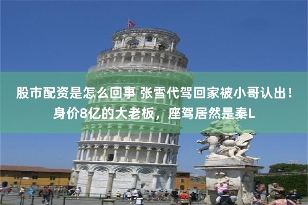 股市配资是怎么回事 张雪代驾回家被小哥认出！身价8亿的大老板，座驾居然是秦L