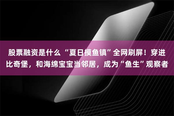 股票融资是什么 “夏日摸鱼镇”全网刷屏！穿进比奇堡，和海绵宝宝当邻居，成为“鱼生”观察者