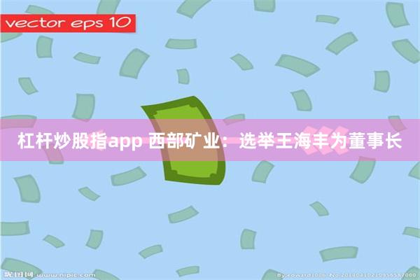 杠杆炒股指app 西部矿业：选举王海丰为董事长