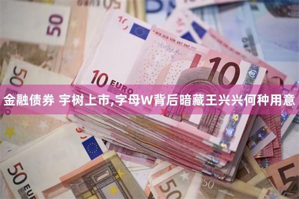 金融债券 宇树上市,字母W背后暗藏王兴兴何种用意