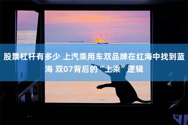 股票杠杆有多少 上汽乘用车双品牌在红海中找到蓝海 双07背后的“上乘”逻辑