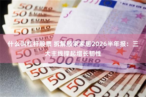 什么叫杠杆股票 拆解顾家家居2026半年报：三大主线撑起增长韧性