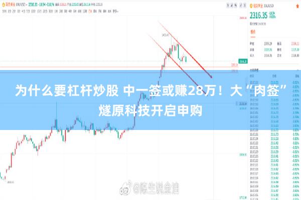 为什么要杠杆炒股 中一签或赚28万！大“肉签”燧原科技开启申购