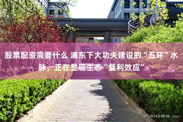 股票配资需要什么 浦东下大功夫建设的“五环”水脉，正在显现生态“复利效应”