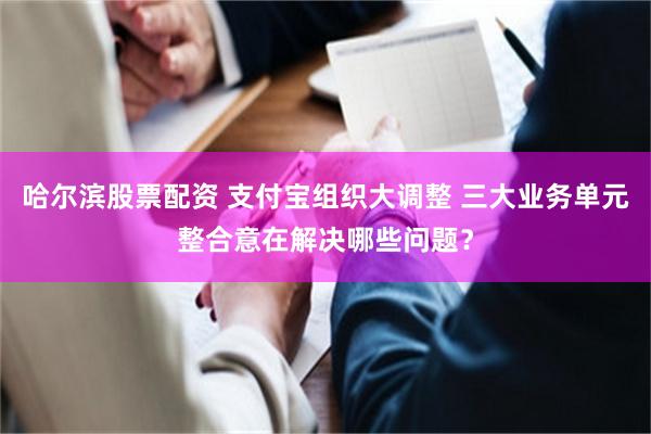 哈尔滨股票配资 支付宝组织大调整 三大业务单元整合意在解决哪些问题？