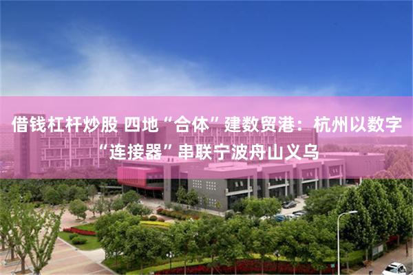 借钱杠杆炒股 四地“合体”建数贸港：杭州以数字“连接器”串联宁波舟山义乌