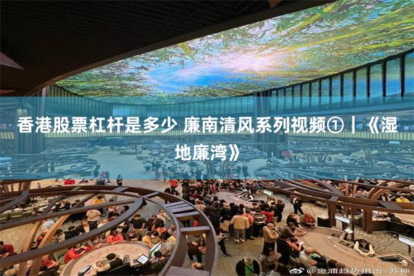 香港股票杠杆是多少 廉南清风系列视频①｜《湿地廉湾》