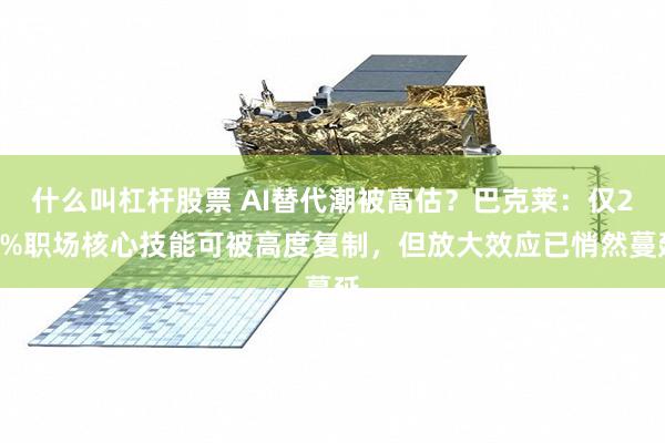 什么叫杠杆股票 AI替代潮被高估？巴克莱：仅20%职场核心技能可被高度复制，但放大效应已悄然蔓延